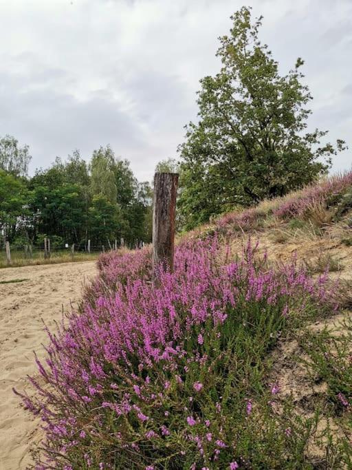 Fewo "Am Bienenstock" In Dallgow-Doberitz Esterno foto