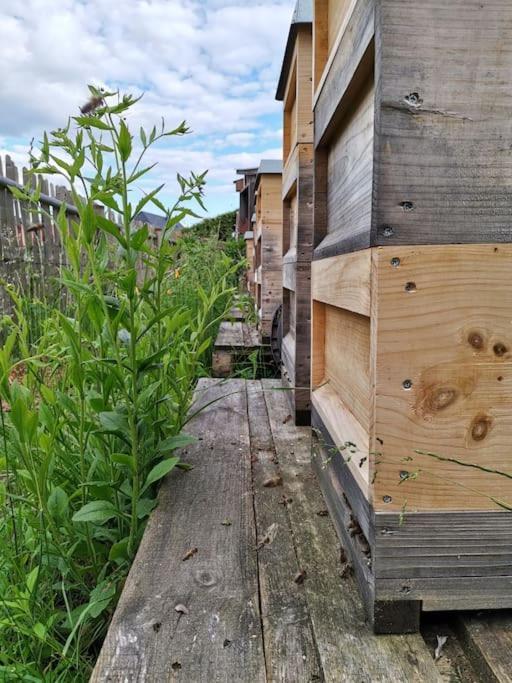Fewo "Am Bienenstock" In Dallgow-Doberitz Esterno foto